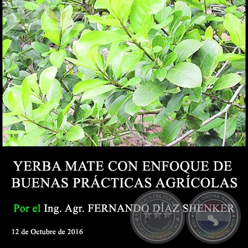YERBA MATE CON ENFOQUE DE BUENAS PRÁCTICAS AGRÍCOLAS - Ing. Agr. FERNANDO DÍAZ SHENKER - 12 de Octubre de 2016